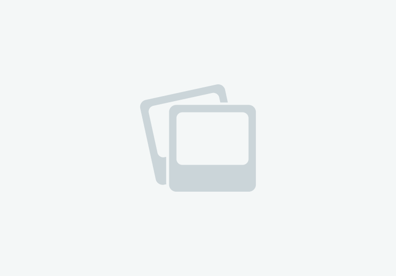 Collie lurchers for sale