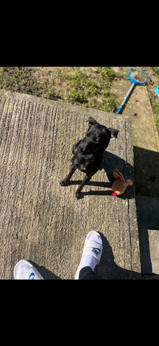 Free to a good home! 